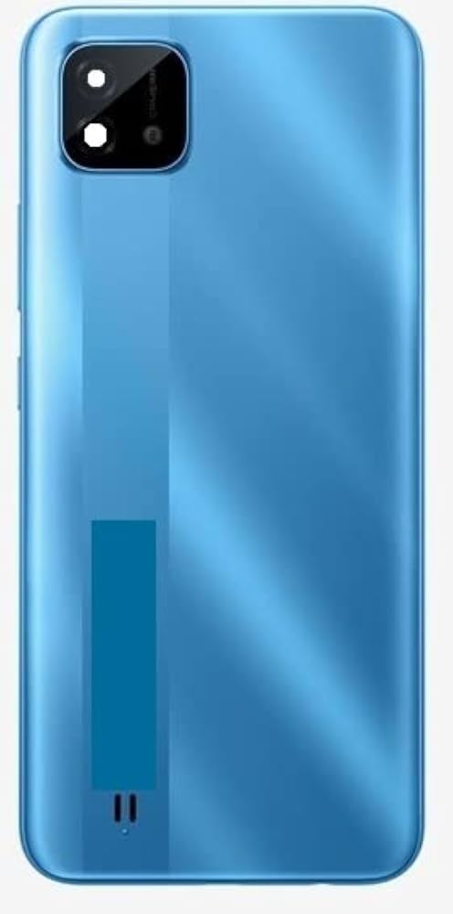 C20 Back Panel